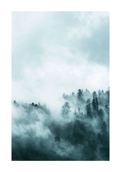 Foggy forest 1 Foggy forest 1