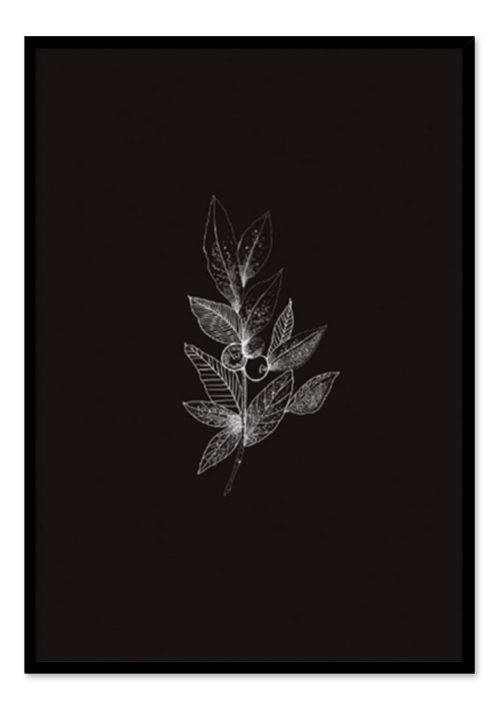 Leaf Black Berry