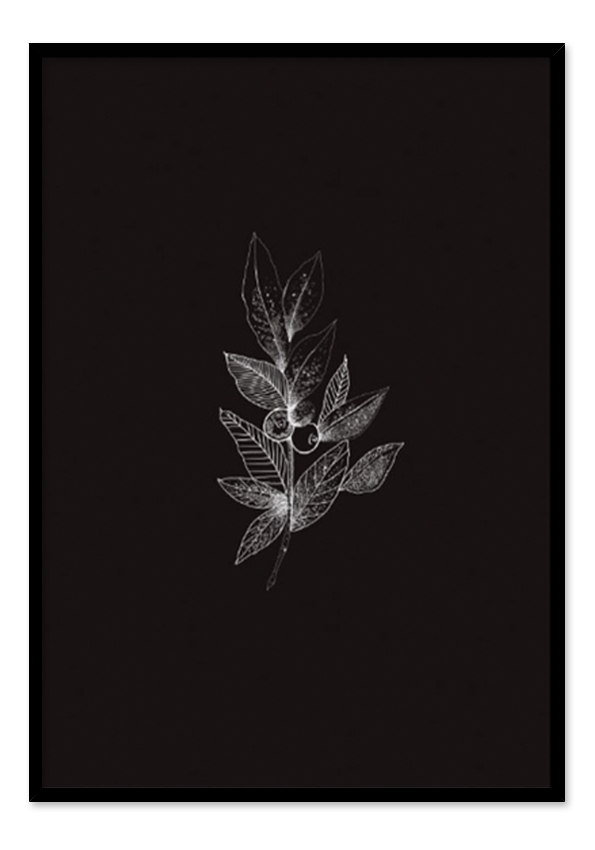 Leaf Black Berry Leaf Black Berry