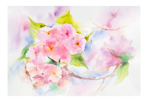 Cherry Blossom - Natalia Galnbek Cherry Blossom - Natalia Galnbek