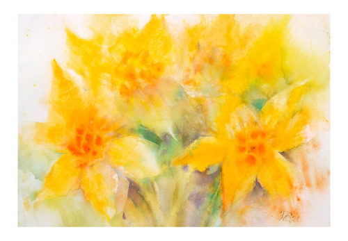 Daffodils - Natalia Galnbek Daffodils - Natalia Galnbek