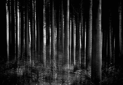 Whispers - Jacob Berghoef Whispers - Jacob Berghoef