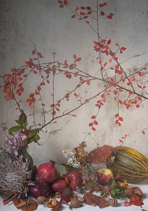 Autumn - Judith Bech Autumn - Judith Bech