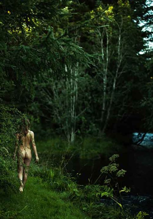 Norwegian Woods - Judith Bech Norwegian Woods - Judith Bech
