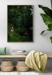 Norwegian Woods - Judith Bech Norwegian Woods - Judith Bech