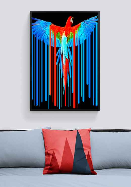 Parrot - Tony Rubino Parrot - Tony Rubino