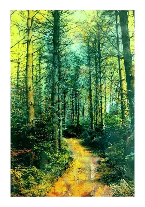 A Path - Teppo Korte A Path - Teppo Korte