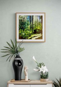 Forest 1 - Teppo Korte Forest 1 - Teppo Korte