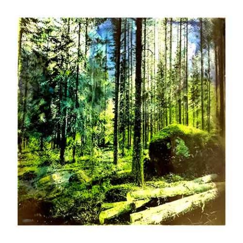 Forest 1 - Teppo Korte Forest 1 - Teppo Korte