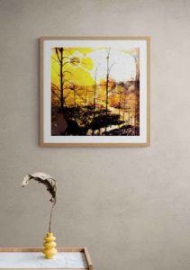 Forest C - Teppo Korte Forest C - Teppo Korte