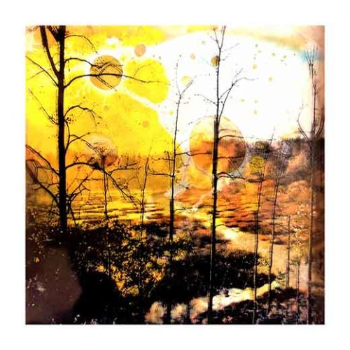 Forest C - Teppo Korte Forest C - Teppo Korte