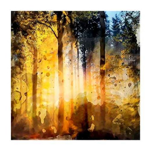 Forest E - Teppo Korte Forest E - Teppo Korte