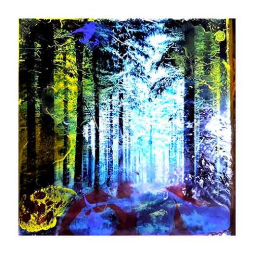 Forest D - Teppo Korte Forest D - Teppo Korte