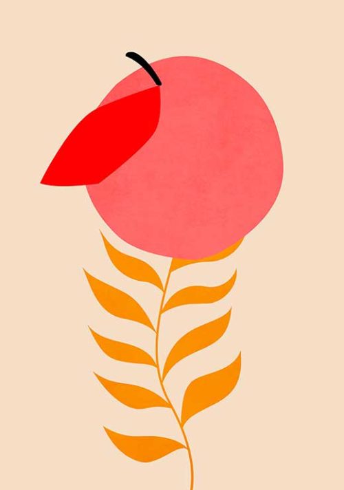 Little Peach - Kubistika Little Peach - Kubistika