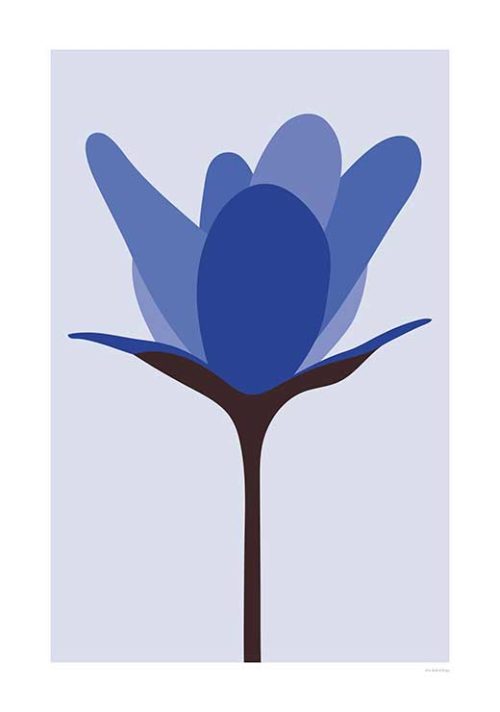 Hepatica Flower Single - Stine Rødseth Hepatica Flower Single - Stine Rødseth