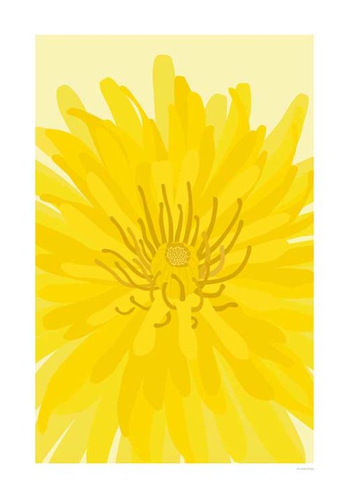 Dandelion - Stine Rødseth Dandelion - Stine Rødseth