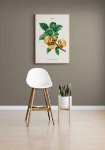Burger Plant - Jonas Loose Burger Plant - Jonas Loose