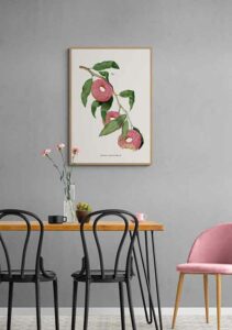 Donut Plant - Jonas Loose Donut Plant - Jonas Loose
