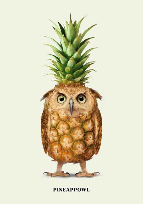 Pineappowl - Jonas Loose Pineappowl - Jonas Loose