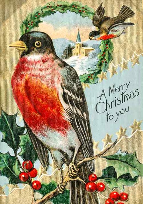 Vintage Christmas Bird Vintage Christmas Bird
