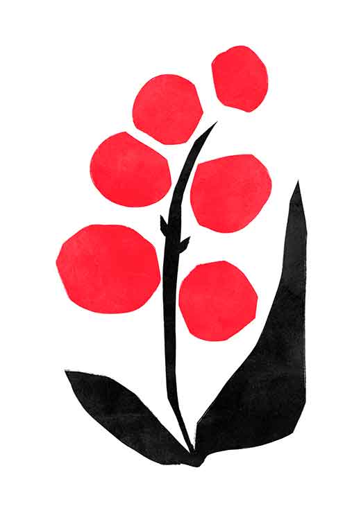 Red Orchid Red Orchid