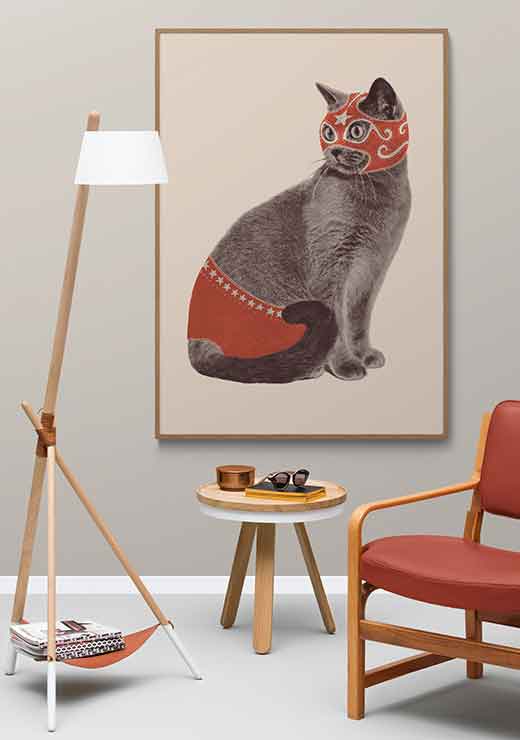 Chat Catcheur - Florent Bodart Chat Catcheur - Florent Bodart