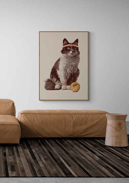 Chat Tennis - Florent Bodart Chat Tennis - Florent Bodart