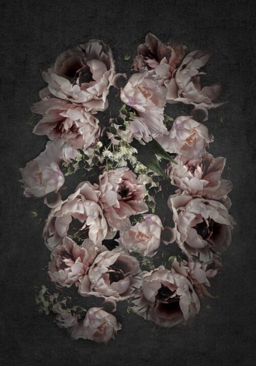 Flowers - Eva Söderberg Flowers - Eva Söderberg