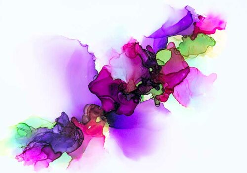 Fields of Flowers - Anna Norén Fields of Flowers - Anna Norén