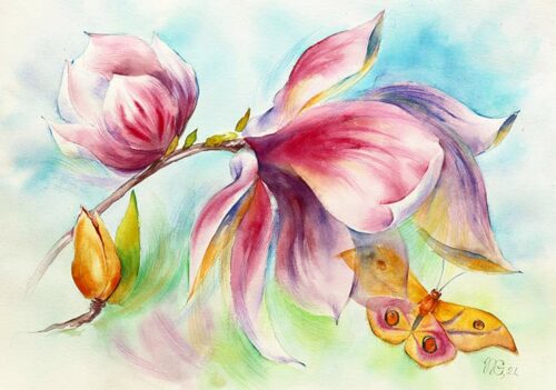 Magnolia With Butterfly - Natalia Galnbek Magnolia With Butterfly - Natalia Galnbek