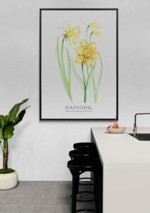 Daffodil - Stine Rødseth Daffodil - Stine Rødseth