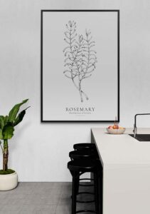 Rosemary - Stine Rødseth Rosemary - Stine Rødseth