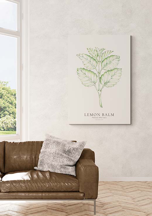 Lemon Balm - Stine Rødseth Lemon Balm - Stine Rødseth