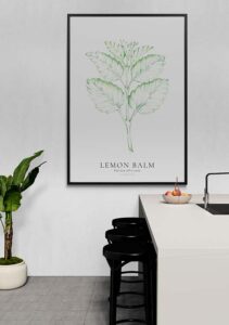 Lemon Balm - Stine Rødseth Lemon Balm - Stine Rødseth
