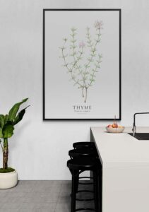 Thyme - Stine Rødseth Thyme - Stine Rødseth