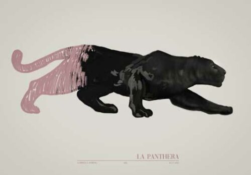 La Panthera Pink - Gabriella Roberg La Panthera Pink - Gabriella Roberg