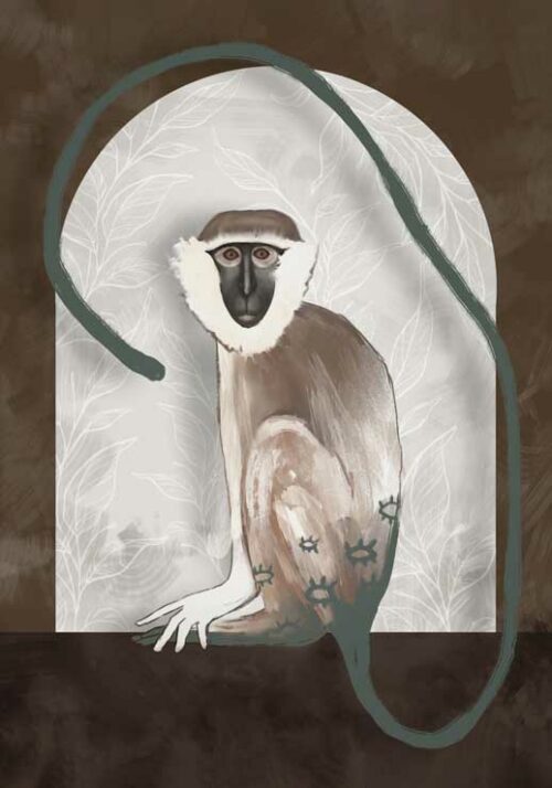 Vervet - Gabriella Roberg Vervet - Gabriella Roberg