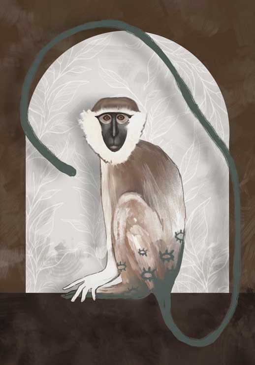 Vervet - Gabriella Roberg Vervet - Gabriella Roberg