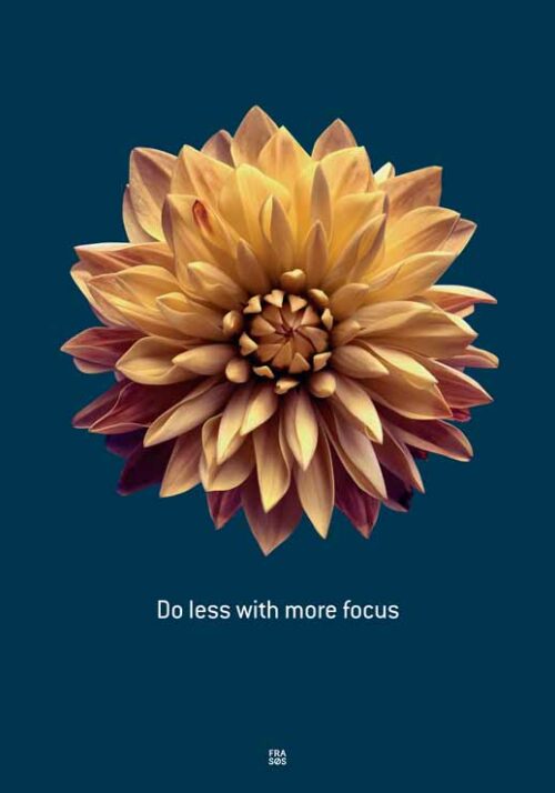 Dahlia - FRA SØS Dahlia - FRA SØS