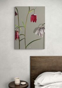 Fritillary - FRA SØS Fritillary - FRA SØS