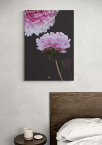 Peony - FRA SØS Peony - FRA SØS