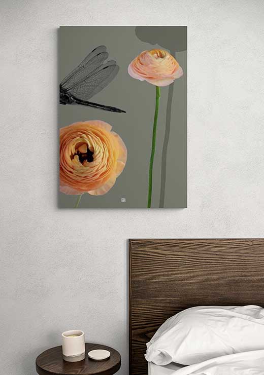 Ranunculus - FRA SØS Ranunculus - FRA SØS