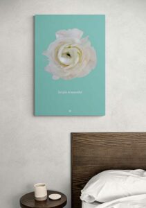 Ranunculus Simple Is Beautiful - FRA SØS Ranunculus Simple Is Beautiful - FRA SØS