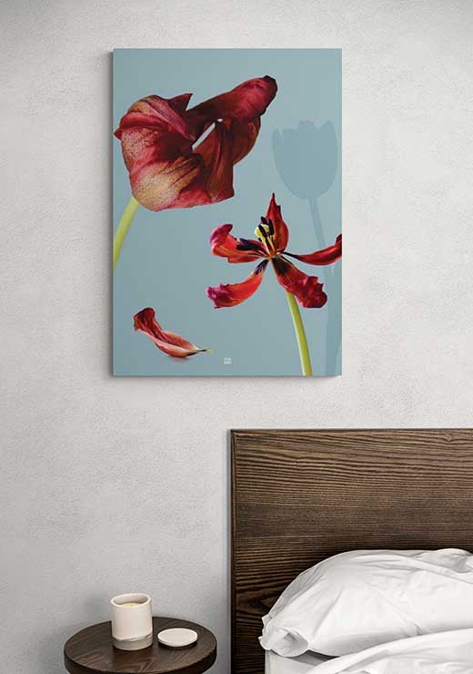 Red Tulip Wither - FRA SØS Red Tulip Wither - FRA SØS