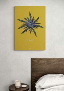 Thistle - FRA SØS Thistle - FRA SØS