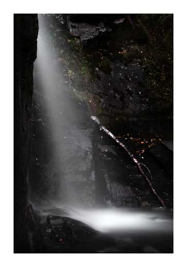 Plunge - John Colbensen Plunge - John Colbensen