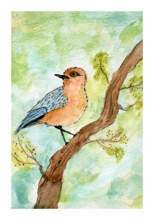 Little Forest Bird - Lillepensel Little Forest Bird - Lillepensel