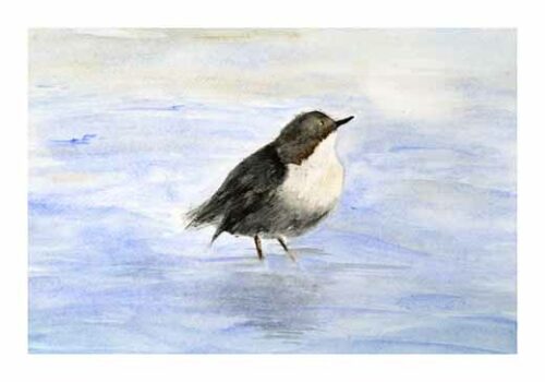 The Dipper - Lillepensel The Dipper - Lillepensel