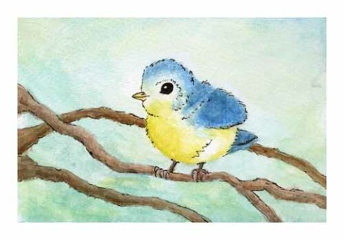 Little Blue Tit - Lillepensel Little Blue Tit - Lillepensel