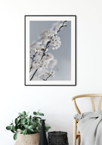 Spring Flowers